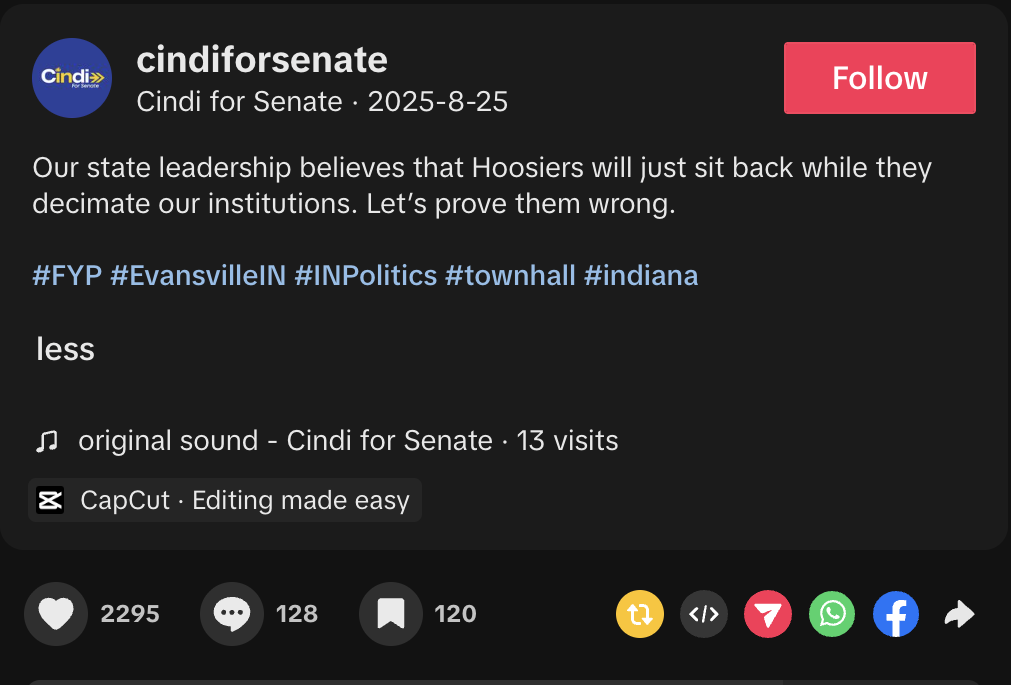 TikTok post produced for Cindi for Senate